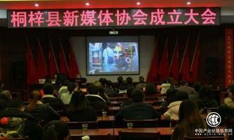 桐梓媒体爆料最新消息,揭秘重大事件背后真相！  第2张