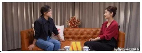 吃瓜娱乐圈检察组,吃瓜群众见证正义归来  第2张